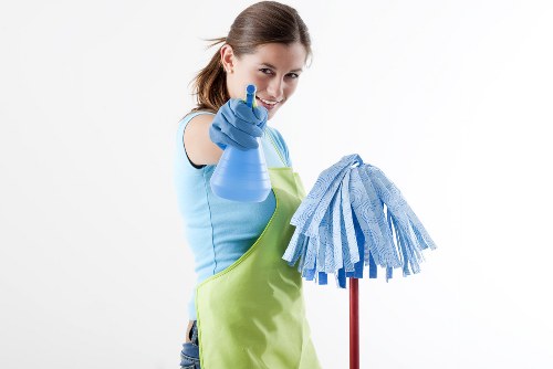 End of tenancy cleaning in a bright living room