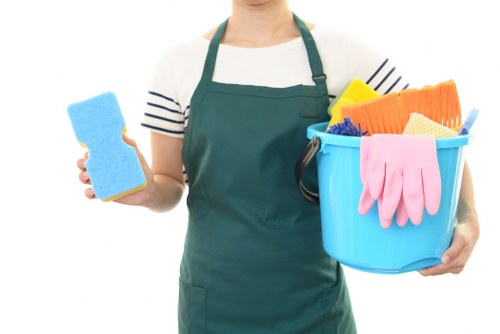 Move out cleaning checklist for an empty home