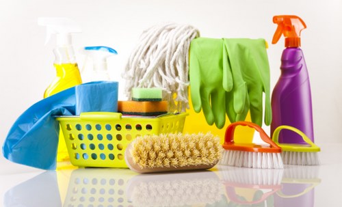 Professional carpet cleaning in a bright living room
