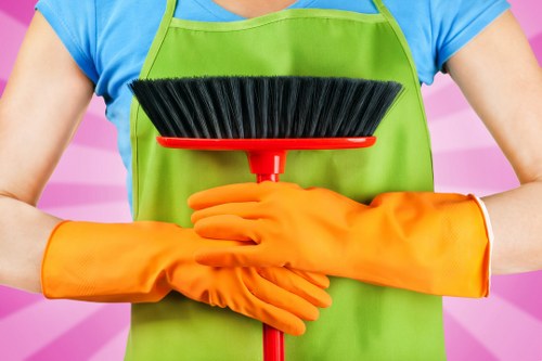 Routine vacuuming and rug cleaning in a home interior