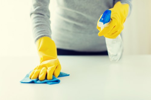 Professional regular cleaning of office surfaces and floors