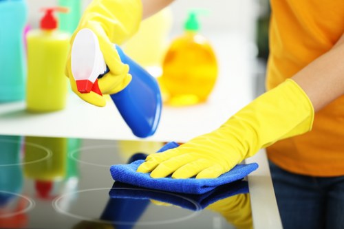 Natural oven cleaning supplies beside a stove
