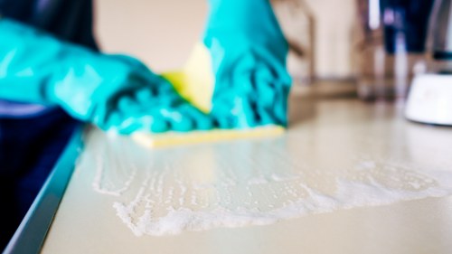 Vacuuming and maintaining carpet in a busy home
