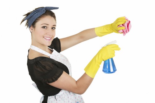 Bathroom house cleaning with scrubbing and sanitizing